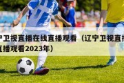 辽宁卫视直播在线直播观看（辽宁卫视直播在线直播观看2023年）