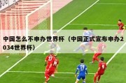 中国怎么不申办世界杯（中国正式宣布申办2034世界杯）